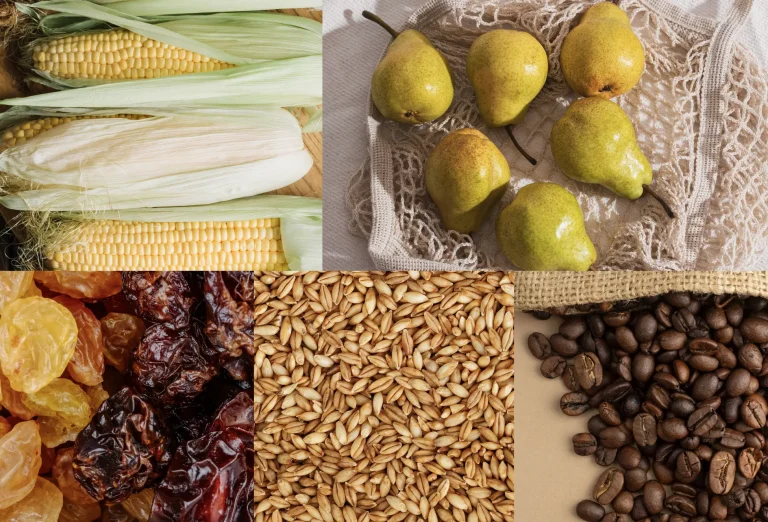 Mycotoxins and Autoimmunity: Understanding the Hidden Triggers in Your Food