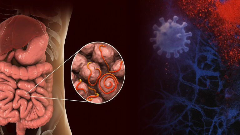 The Hidden Link: How Parasitic Infections May Trigger Autoimmunity